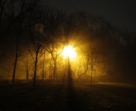 Night time fog with a street light in orange - Free stock photos, images & illustrations