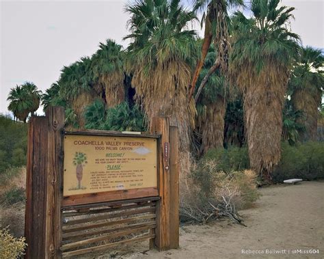 San Andreas Fault at Coachella Valley Preserve » Vancouver Blog Miss604