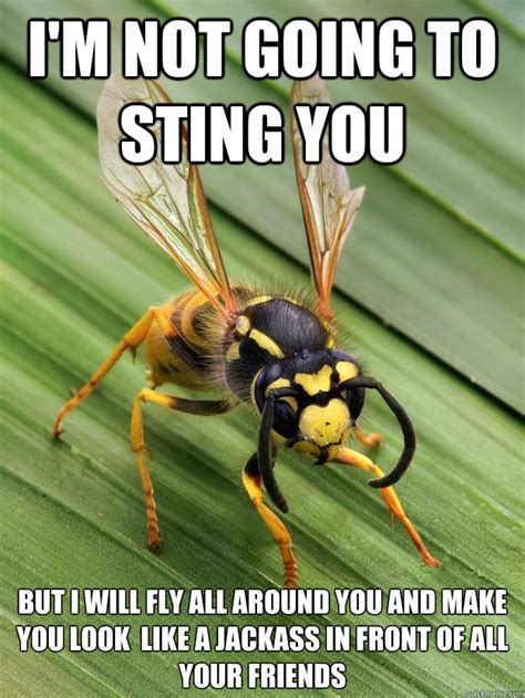 Scumbag Wasp memes | quickmeme