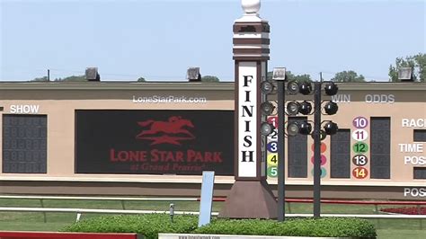 Horse Racing Returns to Lone Star Park – NBC 5 Dallas-Fort Worth