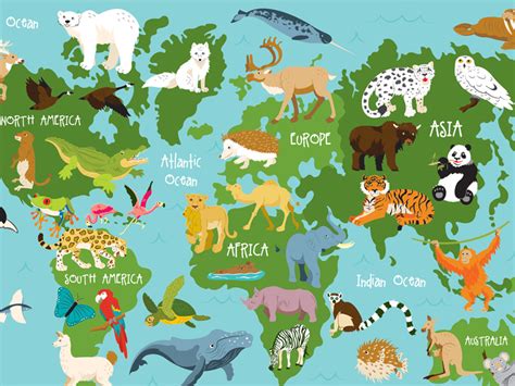 Animal World Map by Sara Lynn Cramb on Dribbble