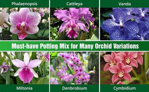 DUSPRO Orchid Potting Mix with Moss Pine Bark Mulch Perlite Stone & Coco Peat Natural ...