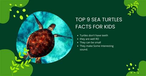 Sea Turtle Facts For Kids Free Printable Sea Turtle Life, 55% OFF