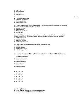 A&P I - Integumentary System Quiz by Human Biology Resources | TPT