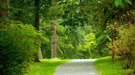 Mount Stewart House and Gardens in Newtownards, Northern Ireland | Expedia