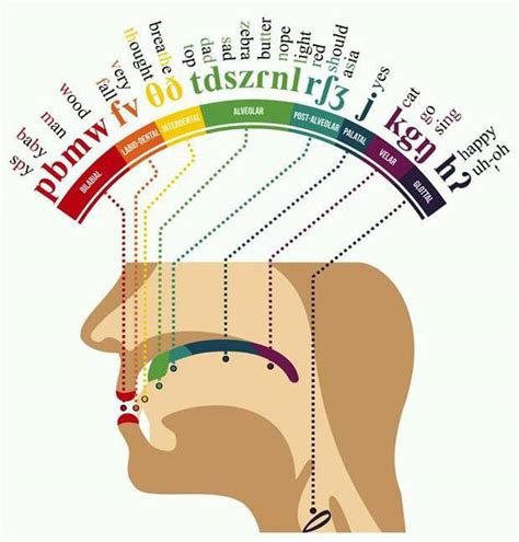 this chart about where in the mouth certain sounds are made. ("Crisp ...