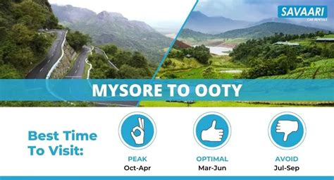 Twists, turns, and tea gardens - Mysore to Ooty road trip