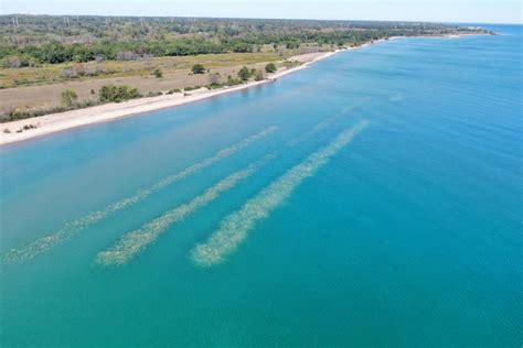 Underwater innovation at Illinois Beach State Park to help mitigate coastal erosion – ISTC blog