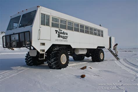 Winter Activities in Churchill Manitoba Canada | Stay Adventurous ...