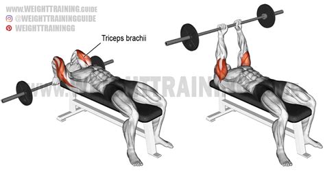 Lying barbell triceps extension exercise instructions and video