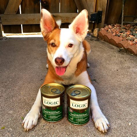 Rubicon Days: Choosing a Quality Canned Dog Food with Nature's Logic