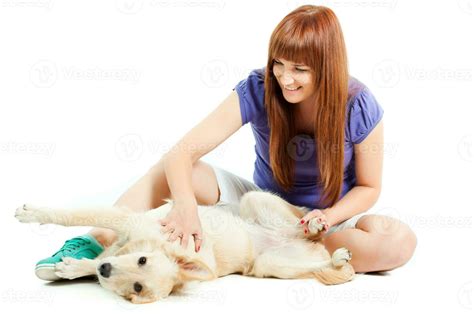 A woman grooming a dog 23950713 Stock Photo at Vecteezy