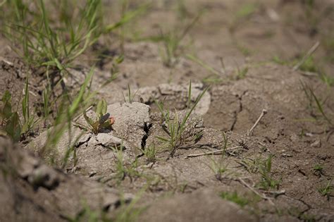 Soils and Biodiversity - Regeneration International