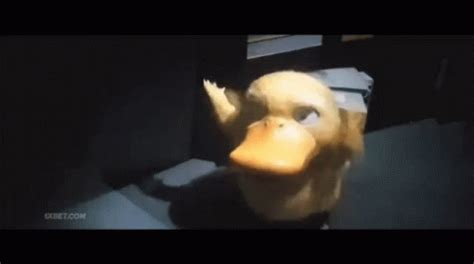 Pokemon Psyduck GIF - Pokemon Psyduck Detective Pikachu - Discover & Share GIFs