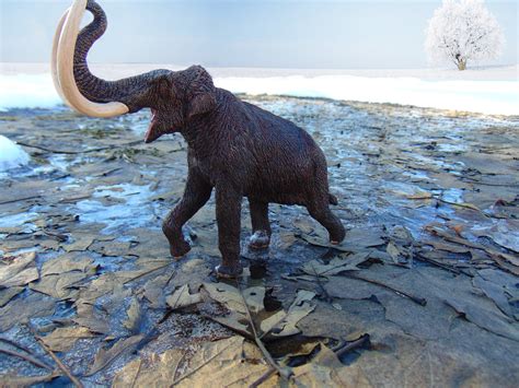 Steppe Mammoth (Eofauna) | Dinosaur Toy Blog