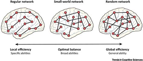 Network Neuroscience Theory of Human Intelligence: Trends in Cognitive Sciences