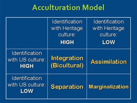 Acculturation: 4 Ways to adjust to a new culture - Hoai-Thu Truong