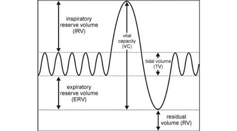 Measure Lung Volume - Instruments Direct