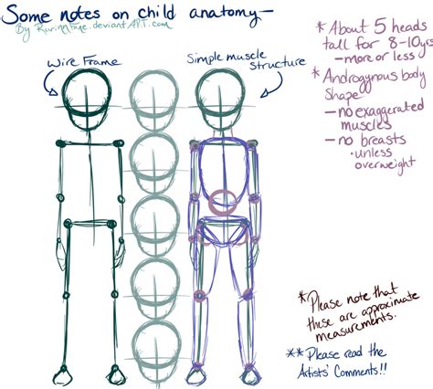 Basic Child Proportions by RurinnFane on DeviantArt