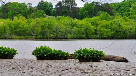 Chattahoochee River National Recreation Area | GOLD BRANCH HIKING TRAILS