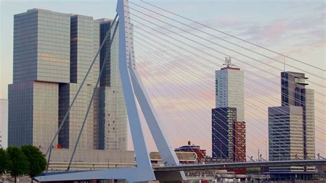 Erasmus Bridge in Rotterdam, | Expedia