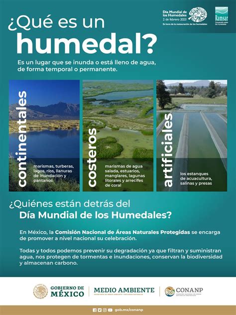 CONANP on Twitter: "Los #Humedales son de los ecosistemas de mayor ...