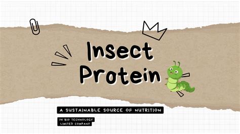 Insect Protein: A Sustainable Source of Nutrition