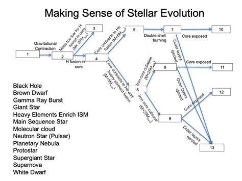 Solved Fill in the Stellar Evolution flowchart from the | Chegg.com