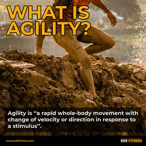 Agility is a key skill in Obstacle Racing. Most gym training works a single plane of movement ...