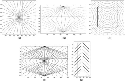 a Hering illusion: the two vertical lines are straight and parallel,... | Download Scientific ...