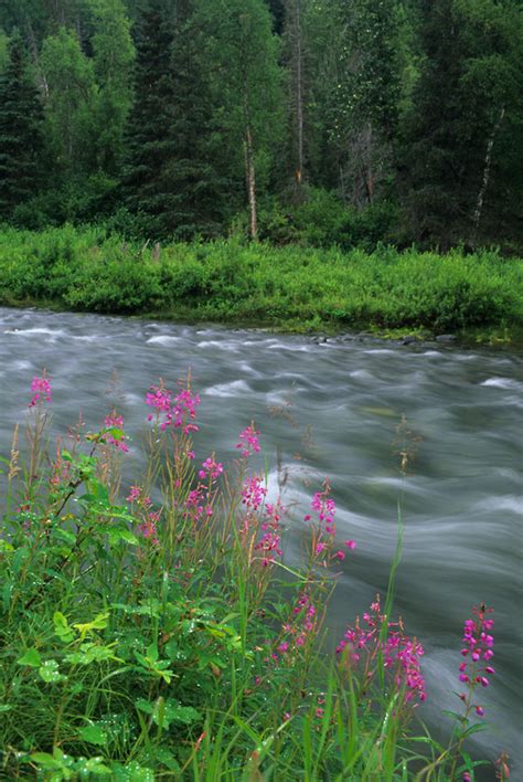 Alaska hiking tours | Guided Hiking trips in Alaska | Family hiking ...