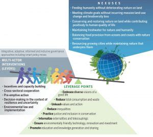 Review: Pervasive human-driven decline of life on Earth points to the ...