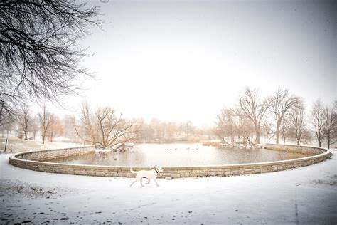 Snow Day: Baltimore Winter Wonderland - BmoreArt