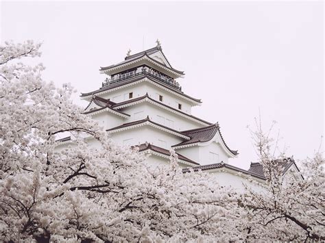 Tsuruga Castle (Illustration) - World History Encyclopedia