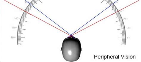 Peripheral Vision Exercise With Contact Lenses – Endmyopia® – The ...