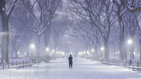 Winter in Central Park New York Wallpapers - Top Free Winter in Central ...