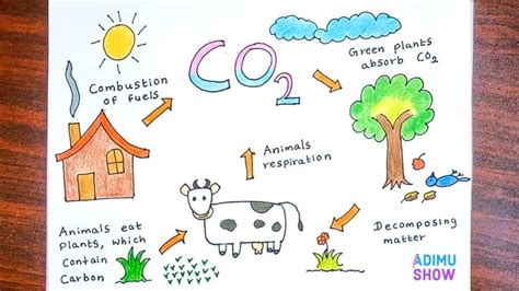 How To Draw Carbon Cycle🌿☀️🐮|step by step tutorial | Carbon cycle, Carbon dioxide cycle, Plants ...