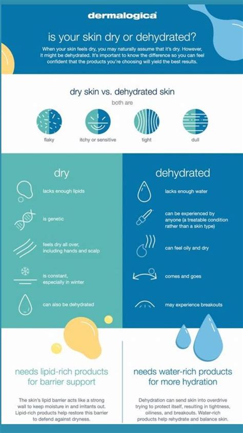 Dehydrated Skin vs Dry Skin - How to Tell the Difference?: An immersive ...