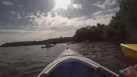 Kayaking Through The Mangroves - YouTube