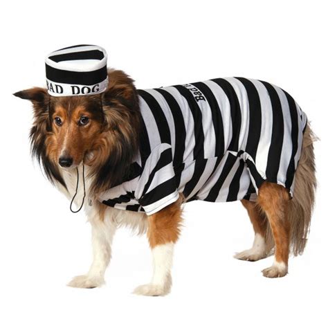 Prison Dog Halloween Costume | BaxterBoo