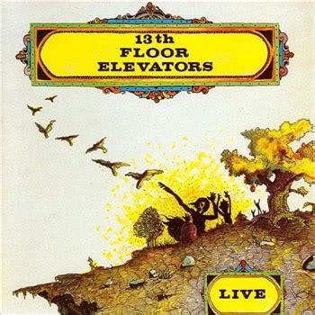 The 13th Floor Elevators “Live” 1968 | Rising Storm Review