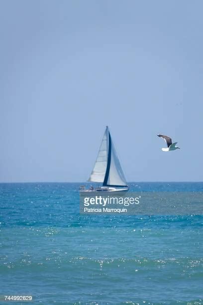 Hollywood Beach Weather Photos and Premium High Res Pictures - Getty Images