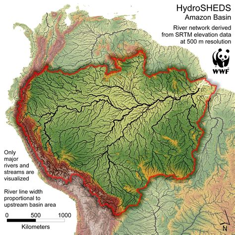 El Pensieve de Dinorider: Amazonas, maravilla natural desde el Mioceno