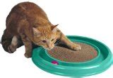 Big Cat Toys - 10 Best Cat Toys For Your Big Cat