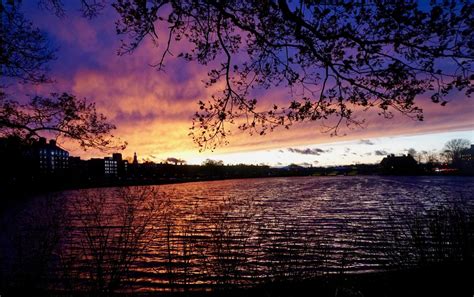 Sunset on the Charles River | Smithsonian Photo Contest | Smithsonian Magazine