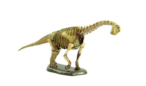 Camarasaurus Skeleton (Kaiyodo) by Zero-Cannard on DeviantArt