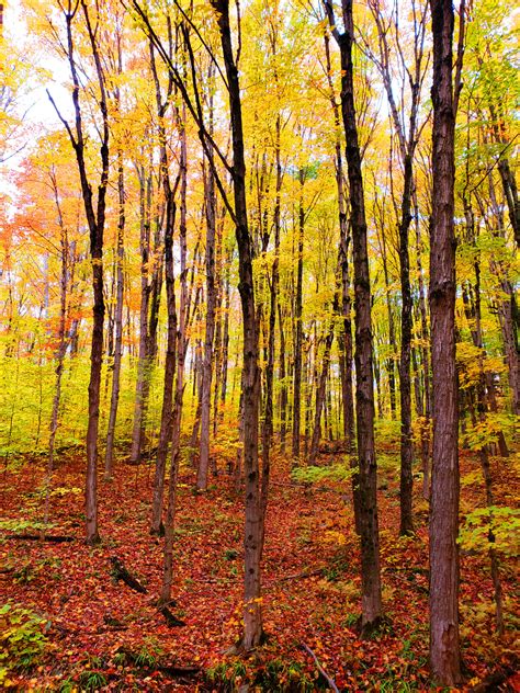 25 Photos Proving That Ontario, Canada Is The Best Place To View Autumn ...