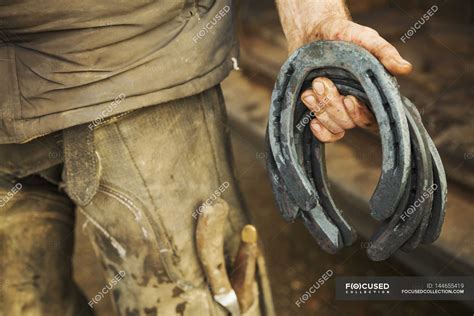 Farrier holding horseshoes — view, tools - Stock Photo | #144655419