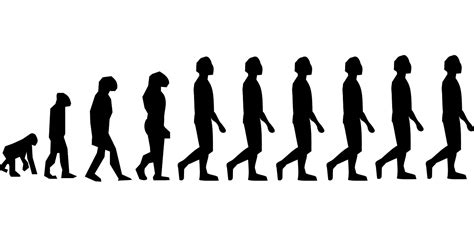 Evolution Charles Darwin Man · Free vector graphic on Pixabay