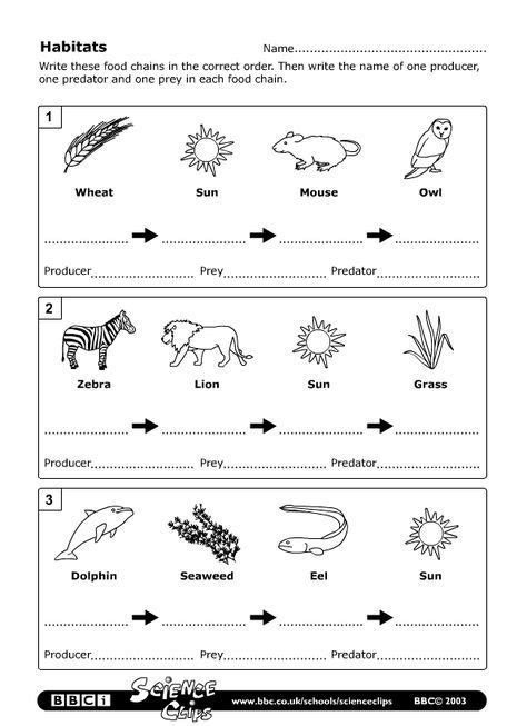 food webs and food chains worksheet pdf - Sherryl Oconnell